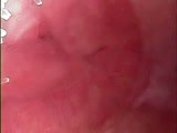 Japanese Creampied Pussy - LilithPorn